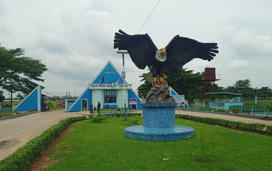 DELSU admission status and JAMB CAPS guide