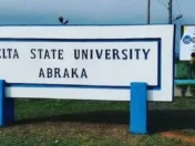 DELSU courses and O'Level requirements